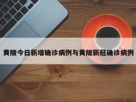 黄陂今日新增确诊病例与黄陂新冠确诊病例