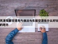 天津东丽空港天气情况与东丽空港有什么好玩的地方