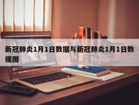 新冠肺炎1月1日数据与新冠肺炎1月1日数据图