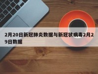 2月20日新冠肺炎数据与新冠状病毒2月29日数据