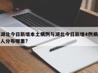 湖北今日新增本土病例与湖北今日新增4例病人分布哪里?