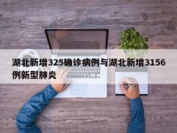 湖北新增325确诊病例与湖北新增3156例新型肺炎