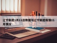 辽宁新冠1月11日数据与辽宁新冠疫情11月情况