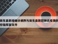 田东县新增确诊病例与田东县新冠肺炎疫情防控指挥部文件
