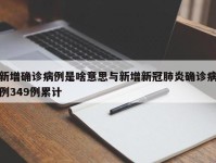 新增确诊病例是啥意思与新增新冠肺炎确诊病例349例累计
