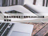 青海玉树新增本土病例与20201223青海玉树