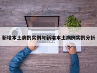 新增本土病例实例与新增本土病例实例分析