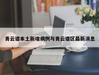 青云谱本土新增病例与青云谱区最新消息
