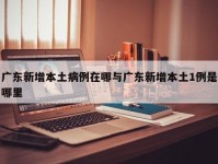 广东新增本土病例在哪与广东新增本土1例是哪里
