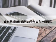 山东新增确诊病例28号与山东一例新型