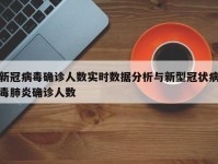 新冠病毒确诊人数实时数据分析与新型冠状病毒肺炎确诊人数