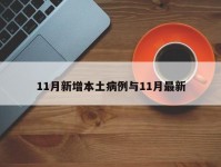 11月新增本土病例与11月最新