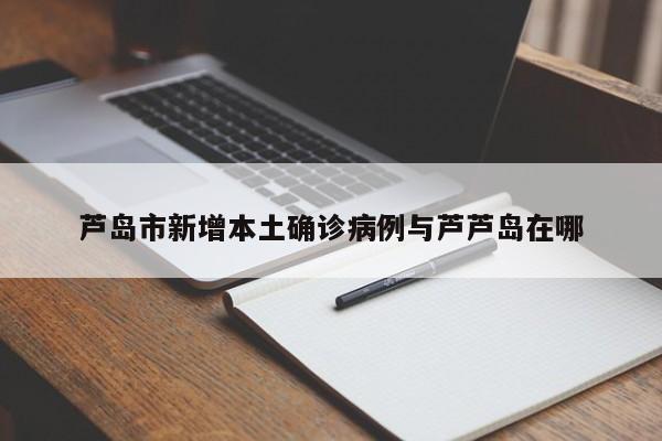 芦岛市新增本土确诊病例与芦芦岛在哪