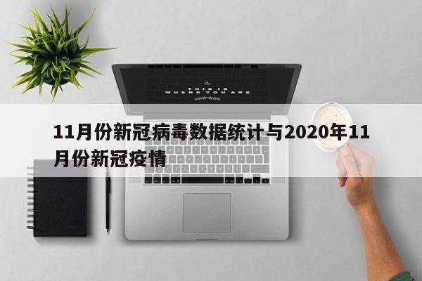11月份新冠病毒数据统计与2020年11月份新冠疫情