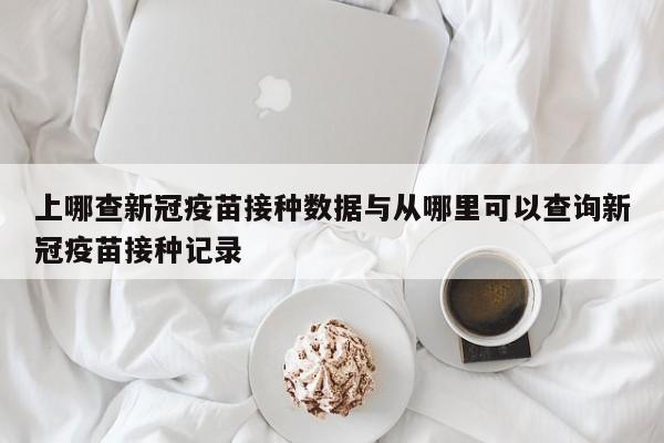 上哪查新冠疫苗接种数据与从哪里可以查询新冠疫苗接种记录