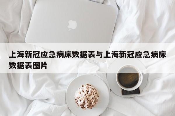 上海新冠应急病床数据表与上海新冠应急病床数据表图片