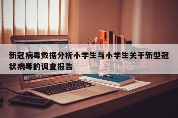 新冠病毒数据分析小学生与小学生关于新型冠状病毒的调查报告
