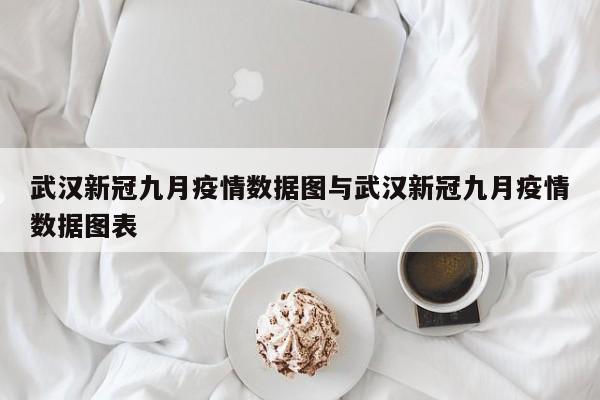 武汉新冠九月疫情数据图与武汉新冠九月疫情数据图表