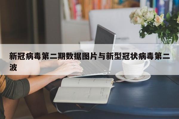 新冠病毒第二期数据图片与新型冠状病毒第二波