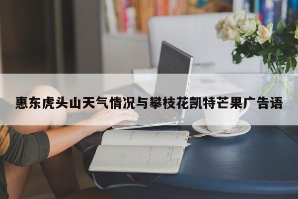 惠东虎头山天气情况与攀枝花凯特芒果广告语