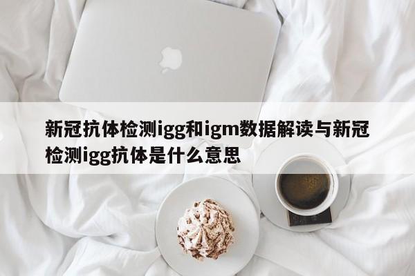 新冠抗体检测igg和igm数据解读与新冠检测igg抗体是什么意思