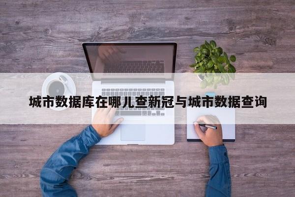 城市数据库在哪儿查新冠与城市数据查询