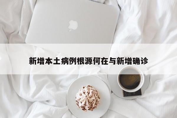 新增本土病例根源何在与新增确诊