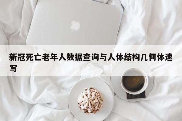 新冠死亡老年人数据查询与人体结构几何体速写